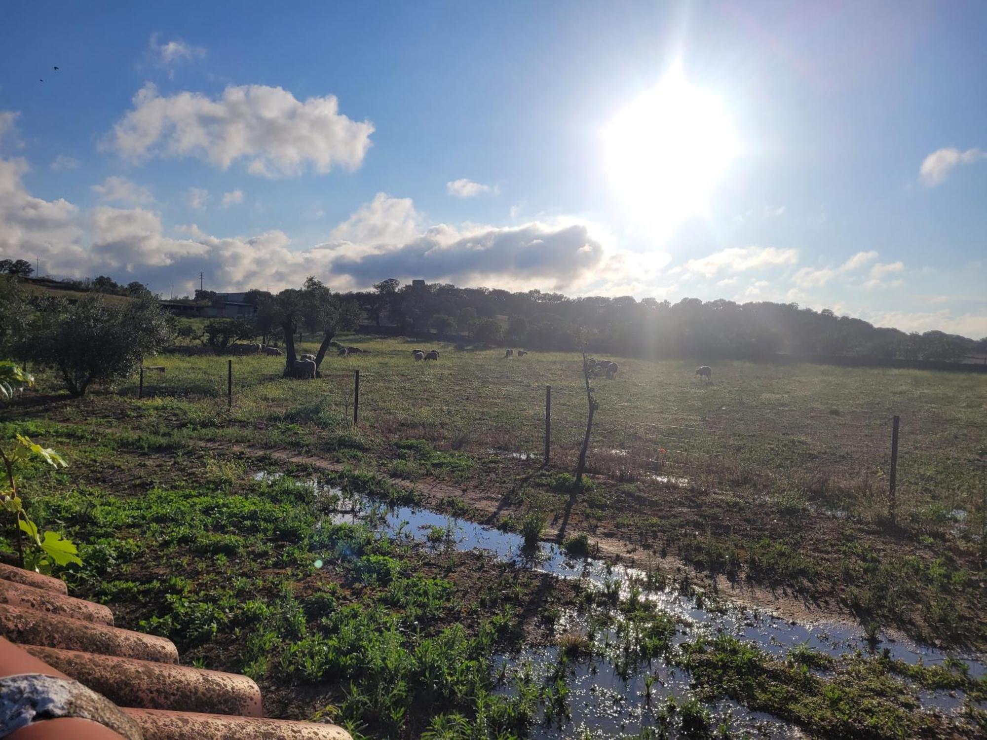Complejo Rural El Soldado Villa Villanueva del Duque Luaran gambar