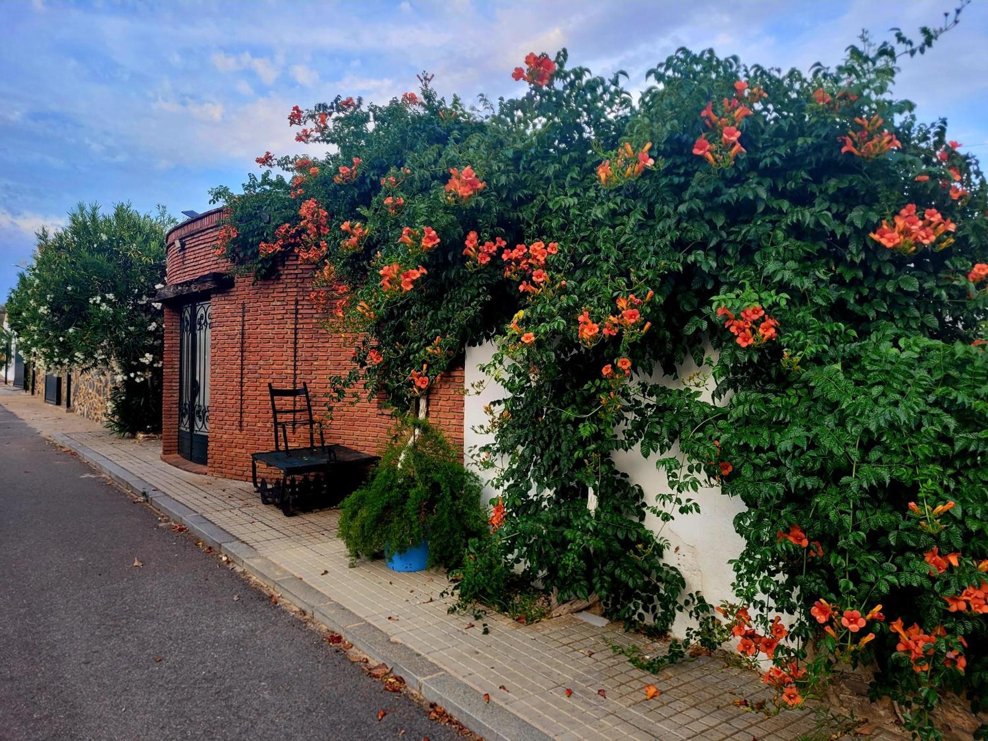 Complejo Rural El Soldado Villa Villanueva del Duque Luaran gambar